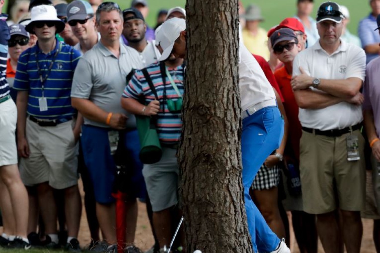 In a moment that characterised a round that started badly and soon grew worse, Jason Day finds a tree between his ball and the hole. 