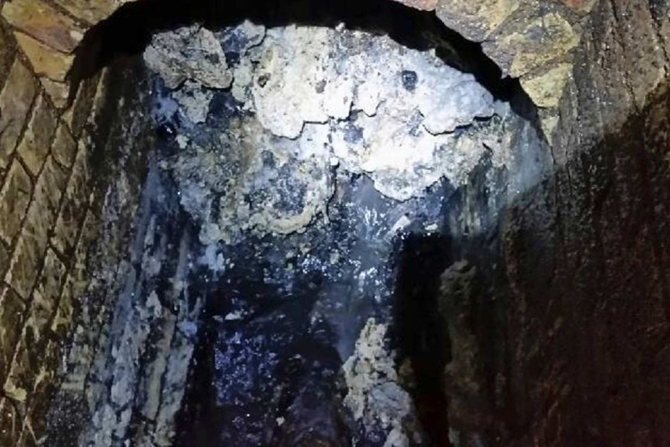 The London fatberg weighs as much as 11 double decker buses.