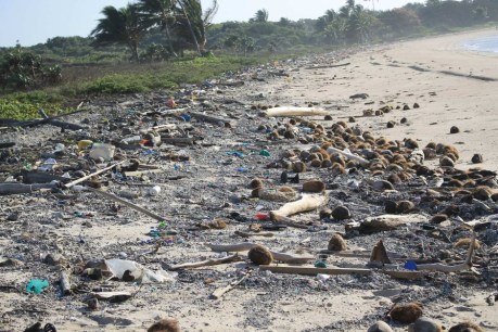 Queensland beach battered with 7 tonnes of rubbish in a year