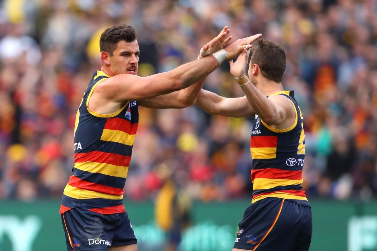 The Adelaide Crows' purchase of a baseball team will expand its brand and footprint offshore.