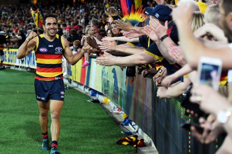 AFL Finals 2017: How adversity has made the Adelaide Crows stronger