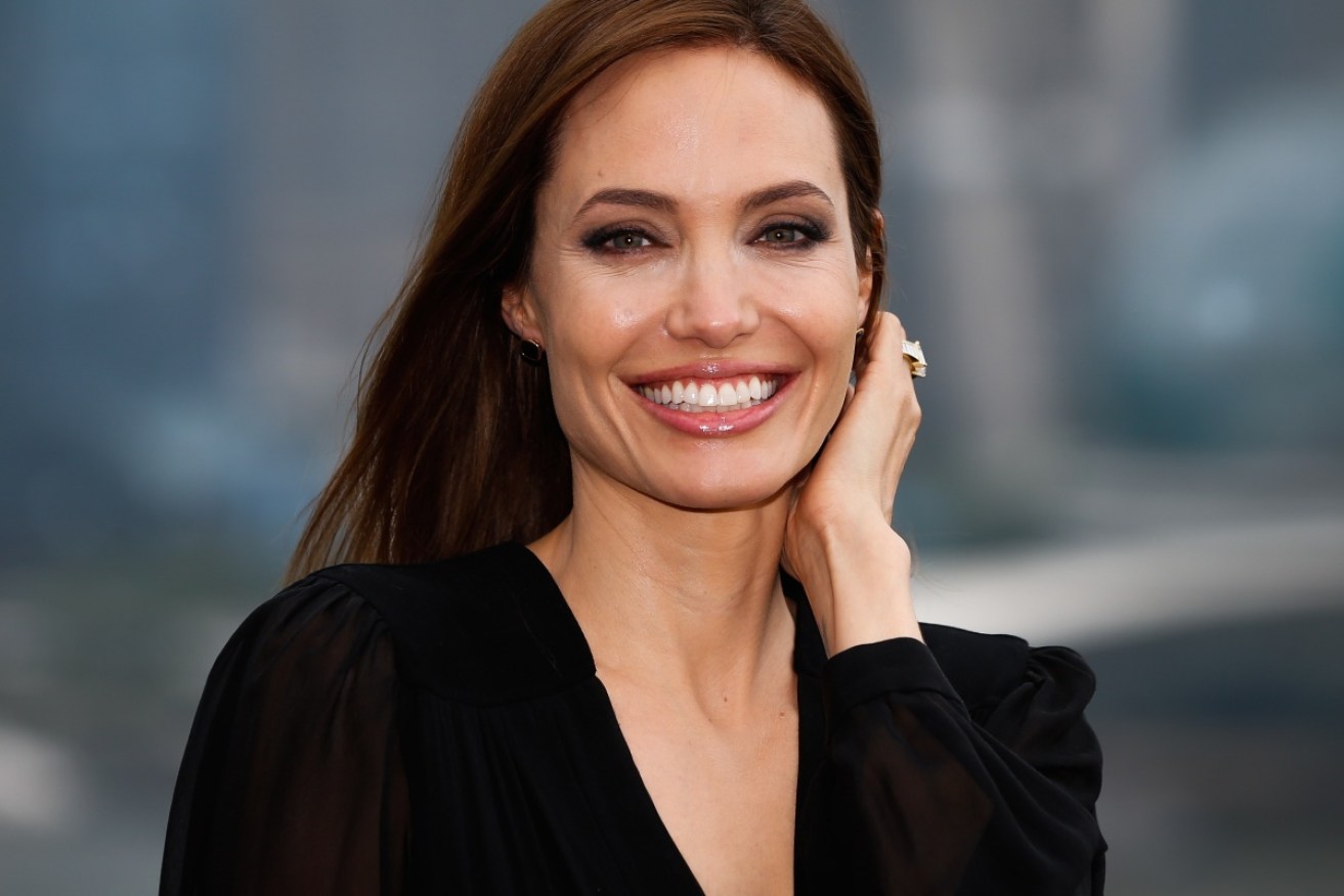 War criminal hunter? Angelina Jolie. 