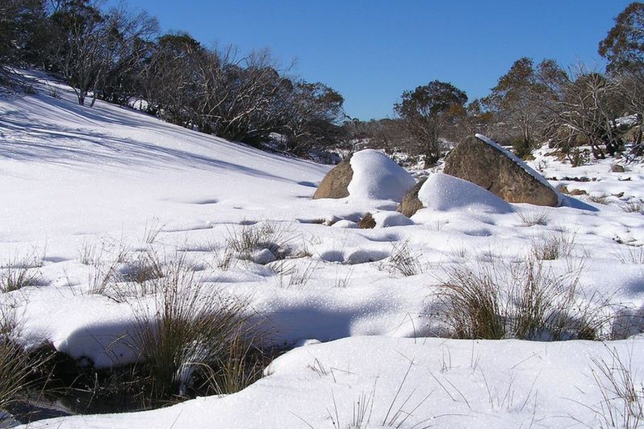 Leslie Southwell was found outside his tent in Victoria's rugged and  remote High Country.