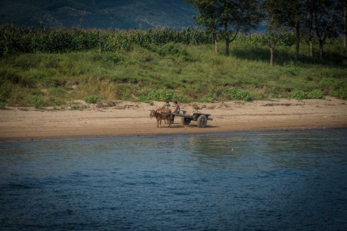 Tourist attraction: Agricultural workers tending a bullock-cart on the banks of the Yalu river.  