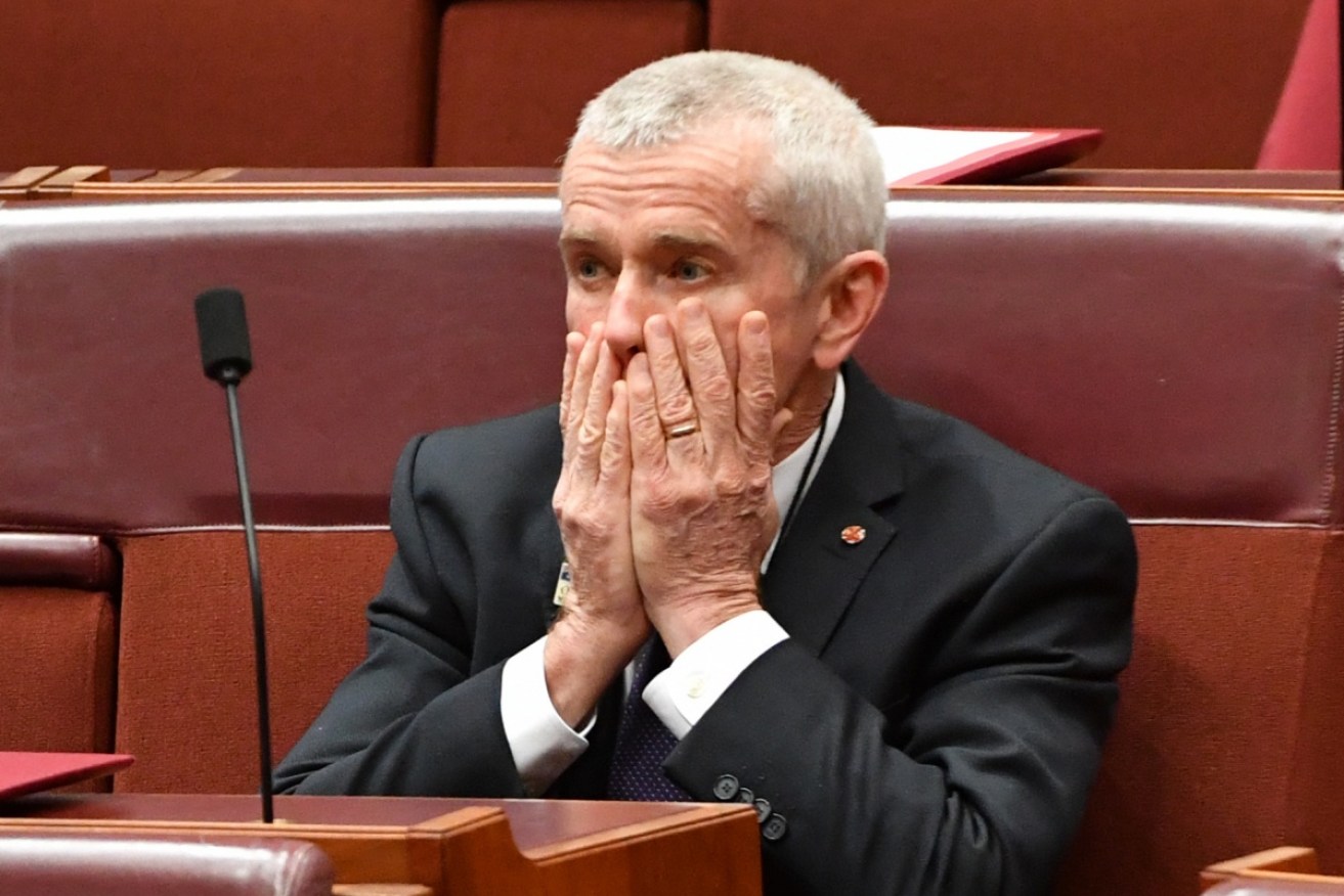 Malcolm Roberts was ruled ineligible to sit in the senate.  