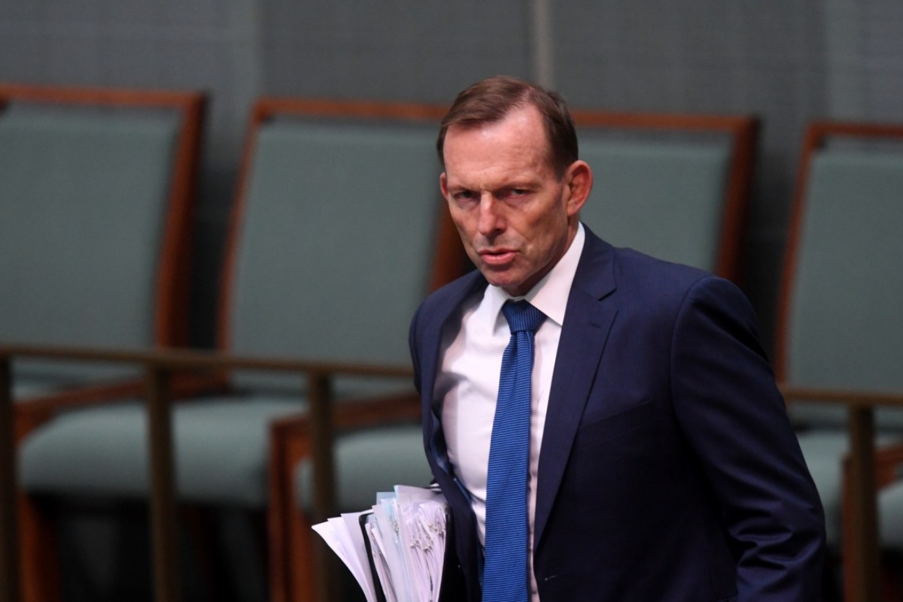 Tony Abbott led the push against a clean energy target. Photo: AAP