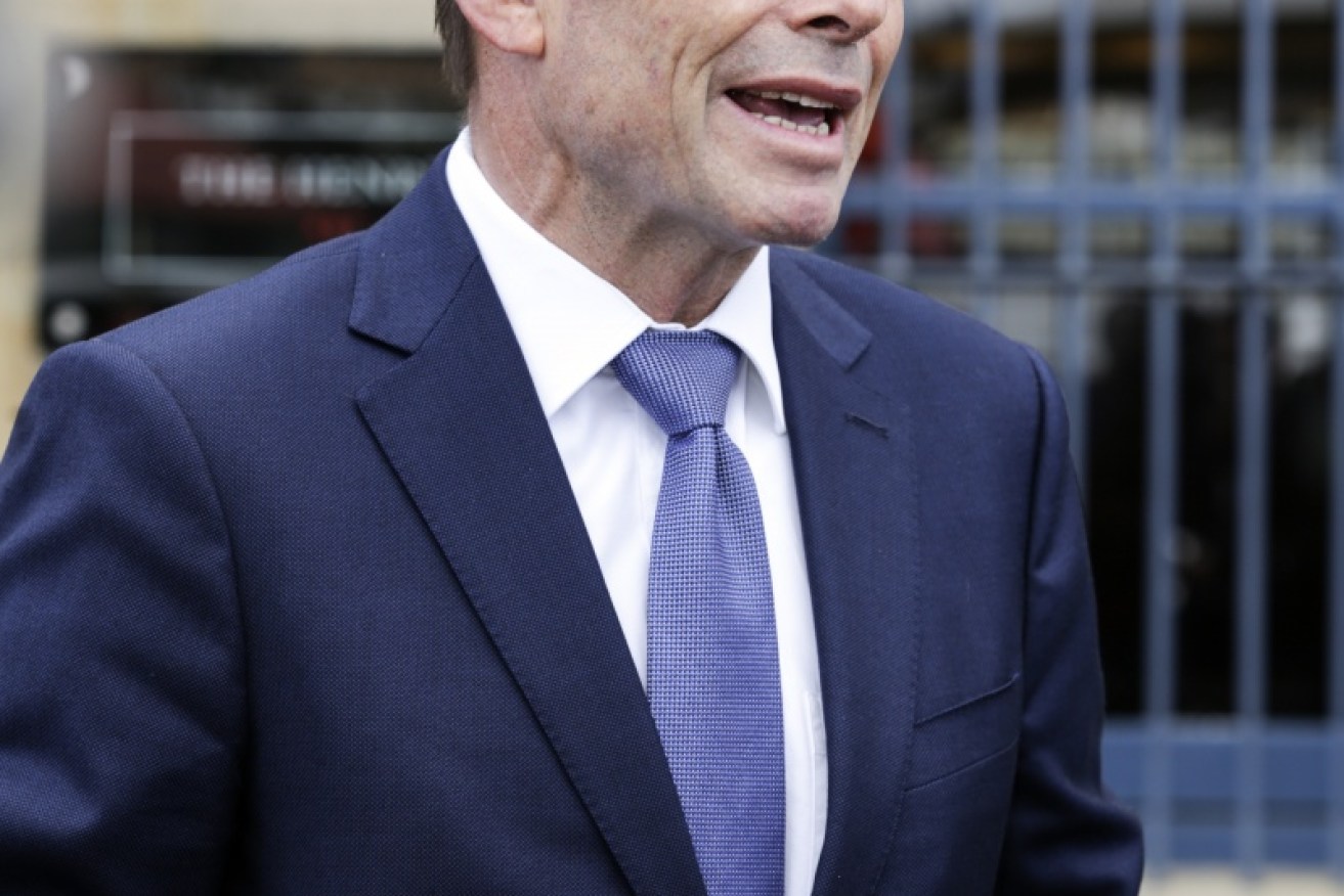 Tony Abbott sort to wrest power from centrists such as Malcolm Turnbull.