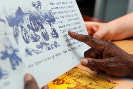 Linguists digitise 1970s children&#8217;s storybooks to help preserve indigenous languages