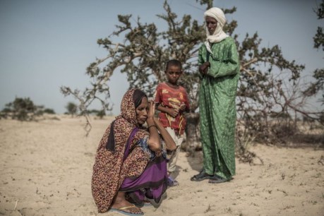 World Food Day: 350,000 people in Chad face starvation