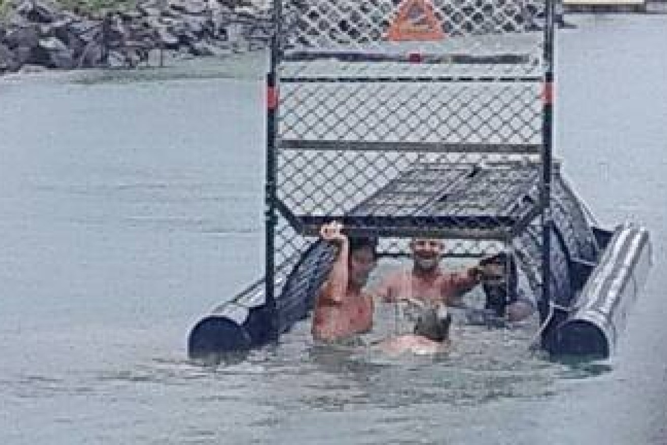 Photos of four men swimming around and inside the crocodile trap left Douglas Shire Mayor Julie Leu stunned.