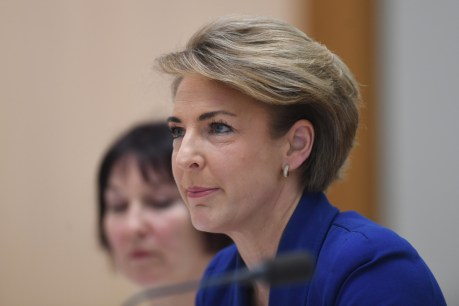 Cash admits staffer told media about federal police raids on AWU offices
