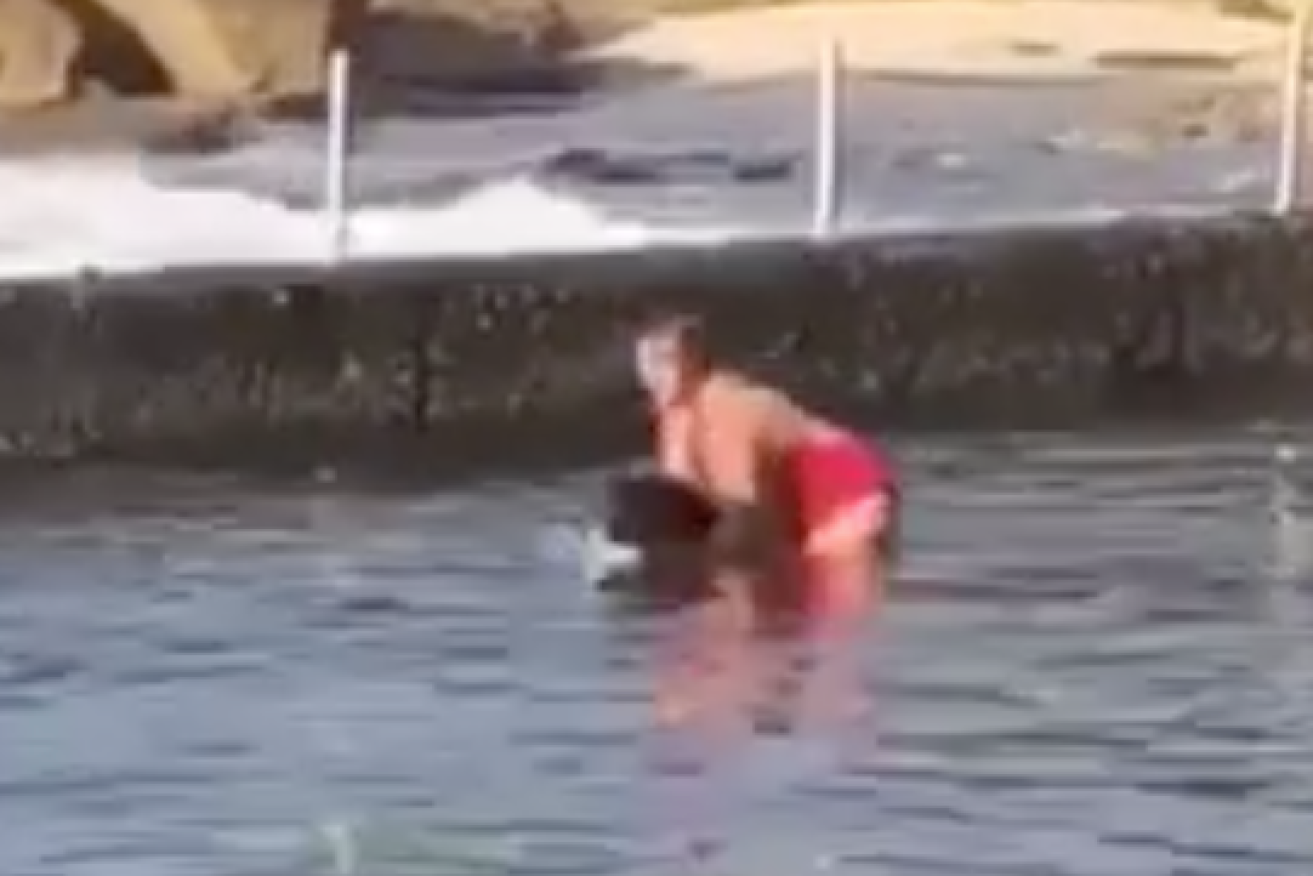 A woman is filmed wrestling with a shark found in a Sydney rock pool.