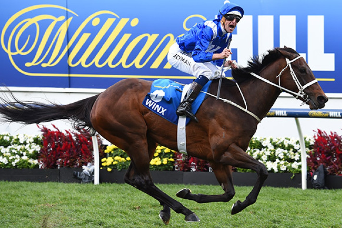 Winx won the plate but Oliver was suspended for his ride on Happy Clapper.