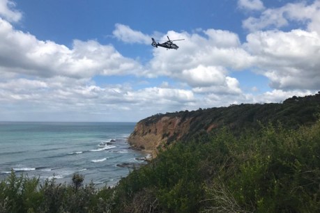 Aireys Inlet search: Police say hopes of finding woman alive are fading