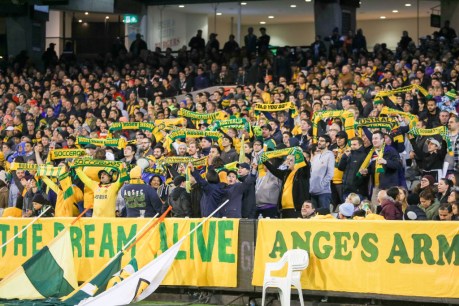 How Socceroos fans prove yet again why Australian sport must grow up