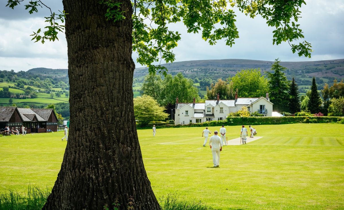 The joy of club cricket: Why nearly half a million Aussies play