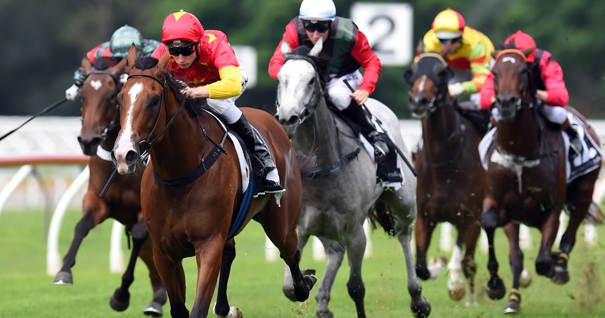 Winx: The Australian horse who kept beating the champ