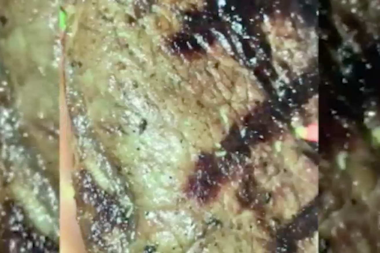 Woman claims to have found worms crawling on steak at Sydney restaurant.