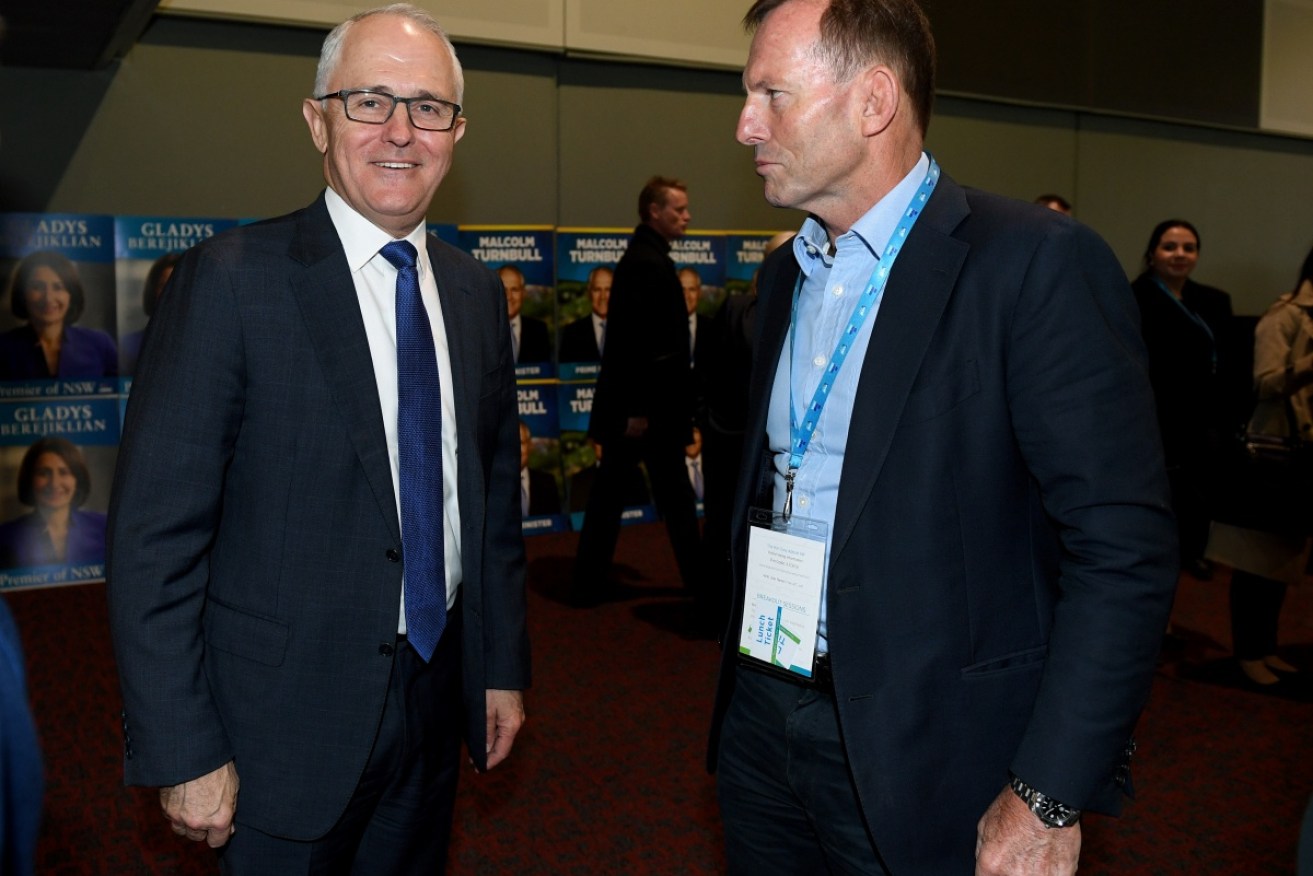 Mr Turnbull challenged Tony Abbott's leadership after a string of bad polls. 