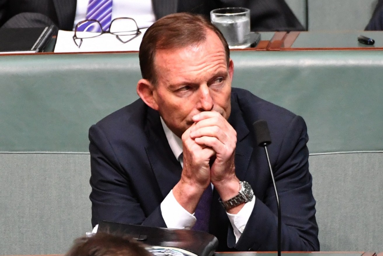 After saying he would support the change to marriage laws, Tony Abbott abstained from the vote.