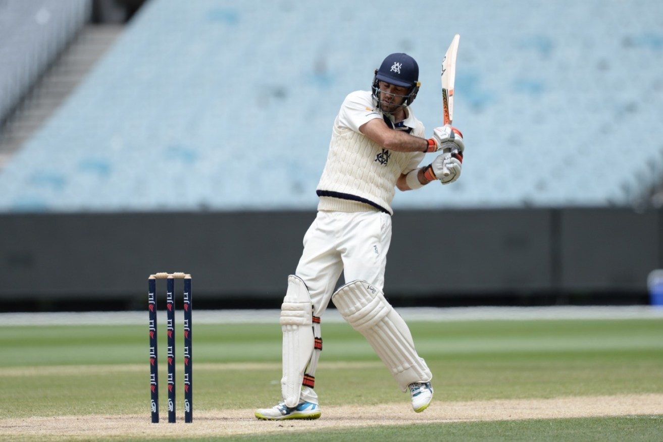 Glenn Maxwell in action for Victoria. 