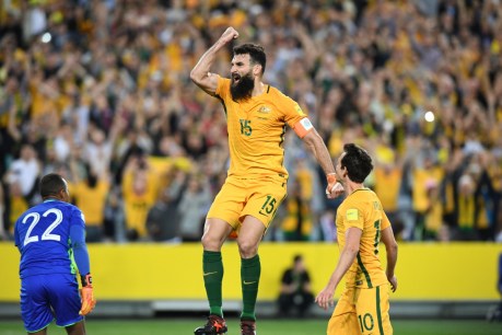 The Socceroos could be booted from the World Cup and the Matildas miss a showcase