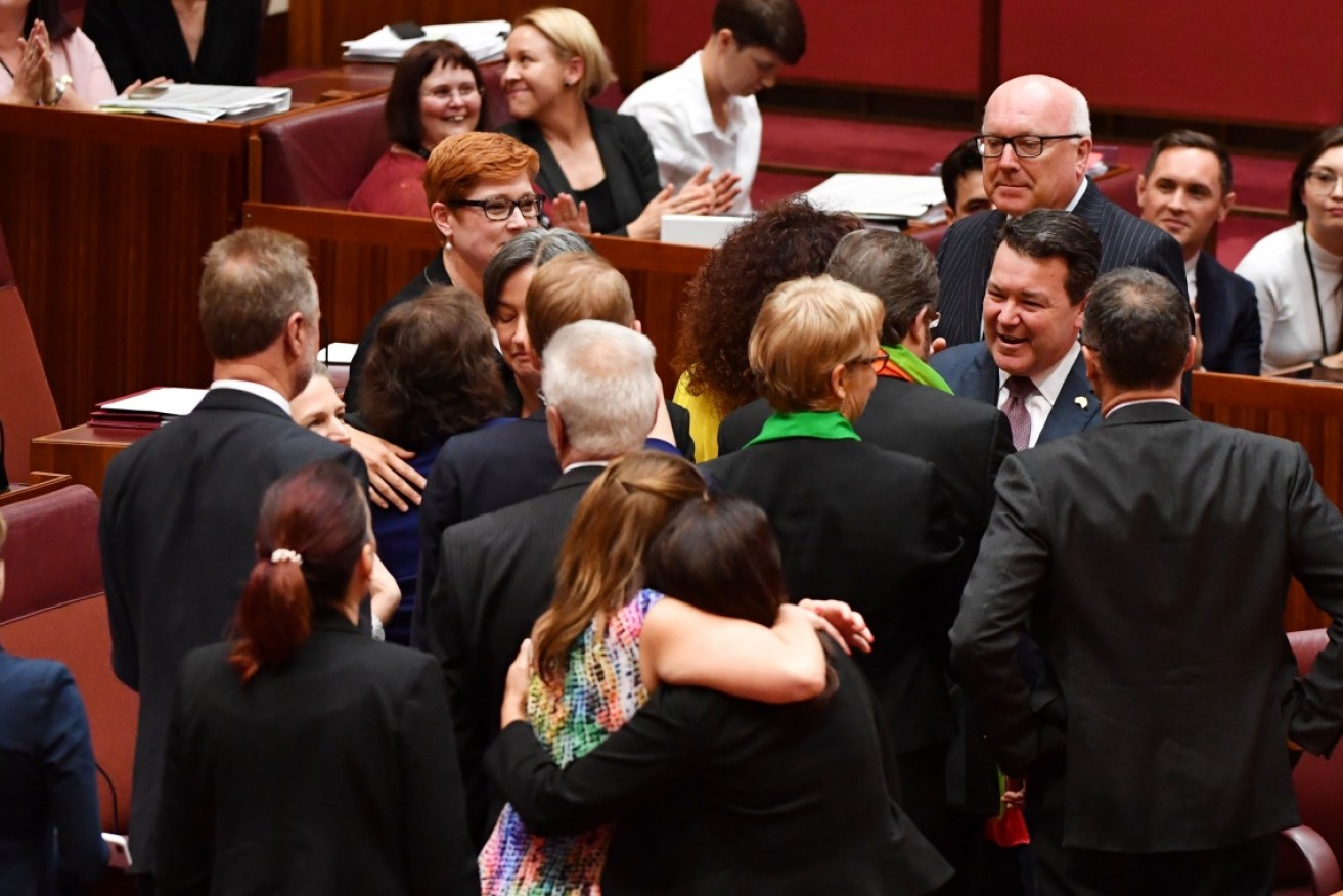 The senate passed a bill to legislate same-sex marriage, paving the way for a lower house vote.