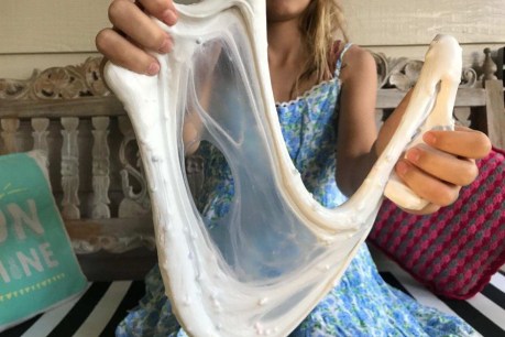 Slime fad a &#8216;recipe for disaster&#8217; after child drinks borax