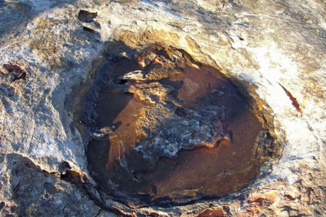 The Kimberley is home to the best dinosaur footprints, but no body fossils