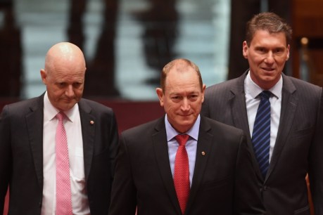 Fraser Anning moving on from One Nation as parties court his vote