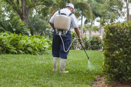 Weed killers linked to rise of antibiotic resistance, new research suggests