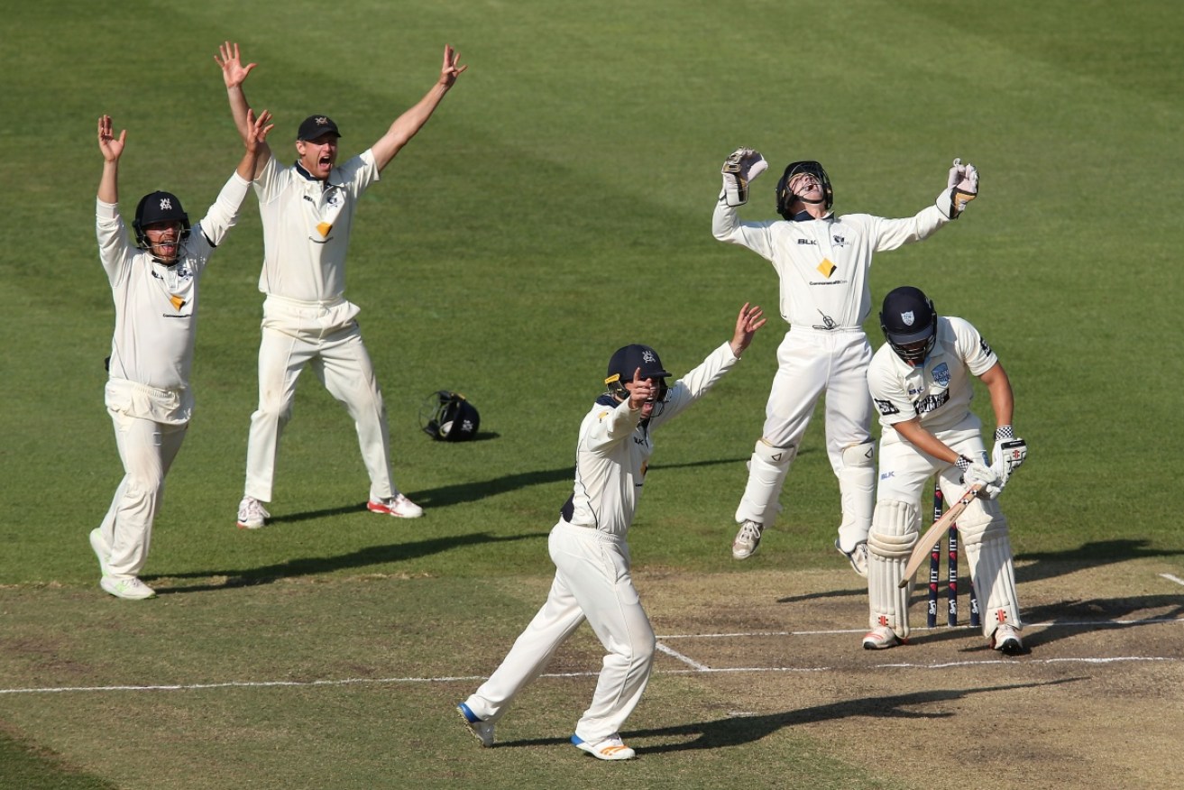  Victorian players celebrate the dismissal of Stephen O'Keefe of NSW off the bowling of Glenn Maxwell of Victoria during day four of the Sheffield Shield match between New South Wales and Victoria.