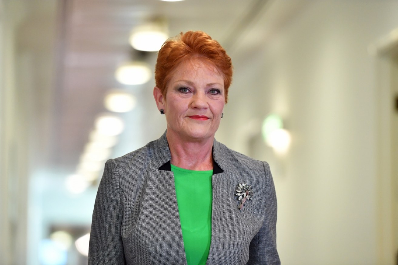 Pauline Hanson expects One Nation can better its 1998 performance when it claimed 11 seats.