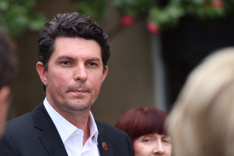 Scott Ludlam has bail win after climate protest