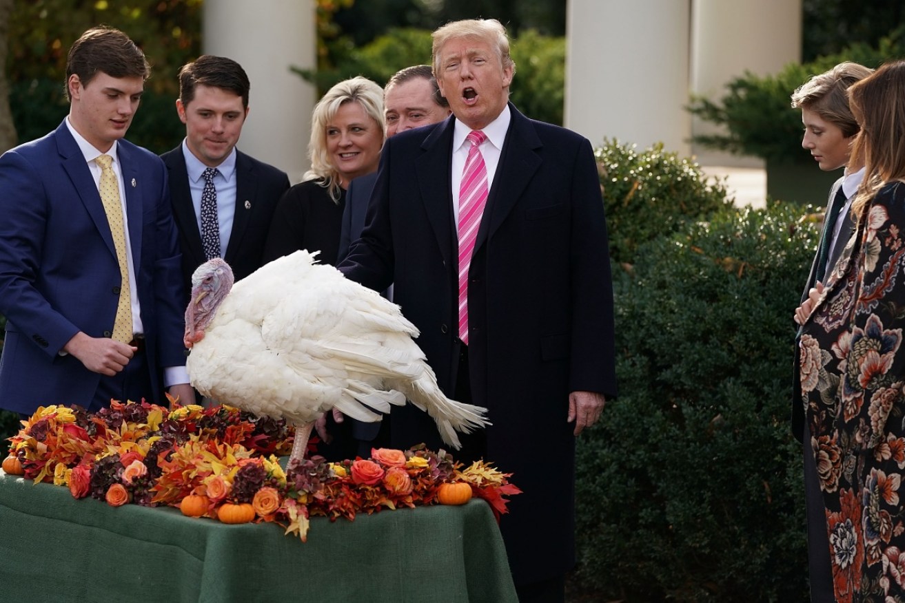 The Trump family has celebrated Thanksgiving in peculiar fashion.