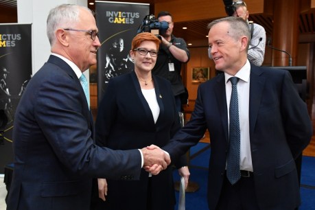 Shorten vows to make life hell for a reeling Turnbull