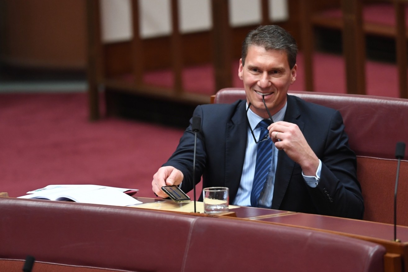 "Cory Bernardi is stoking rumours that Christopher Pyne is gay."