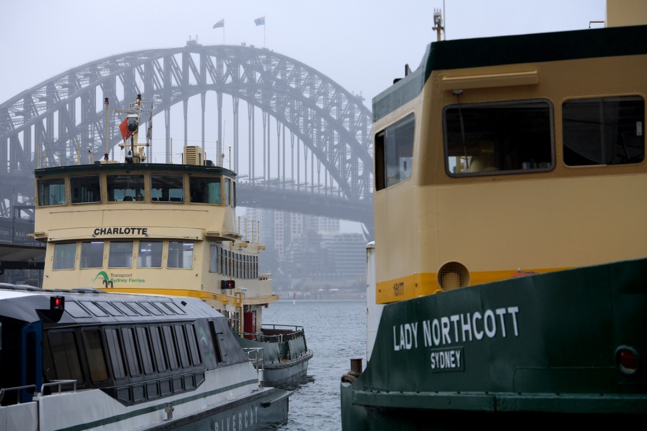 A new ferry named Ferry McFerryface will be running in the Sydney Harbour.