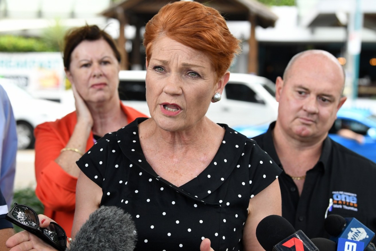ne Nation candidate for Hinchbook Margaret Bell (left) and Thuringowa candidate for One Nation Mark Thornton (right) look on as One Nation leader Pauline Hanson speaks during a press conference in Townsville.
