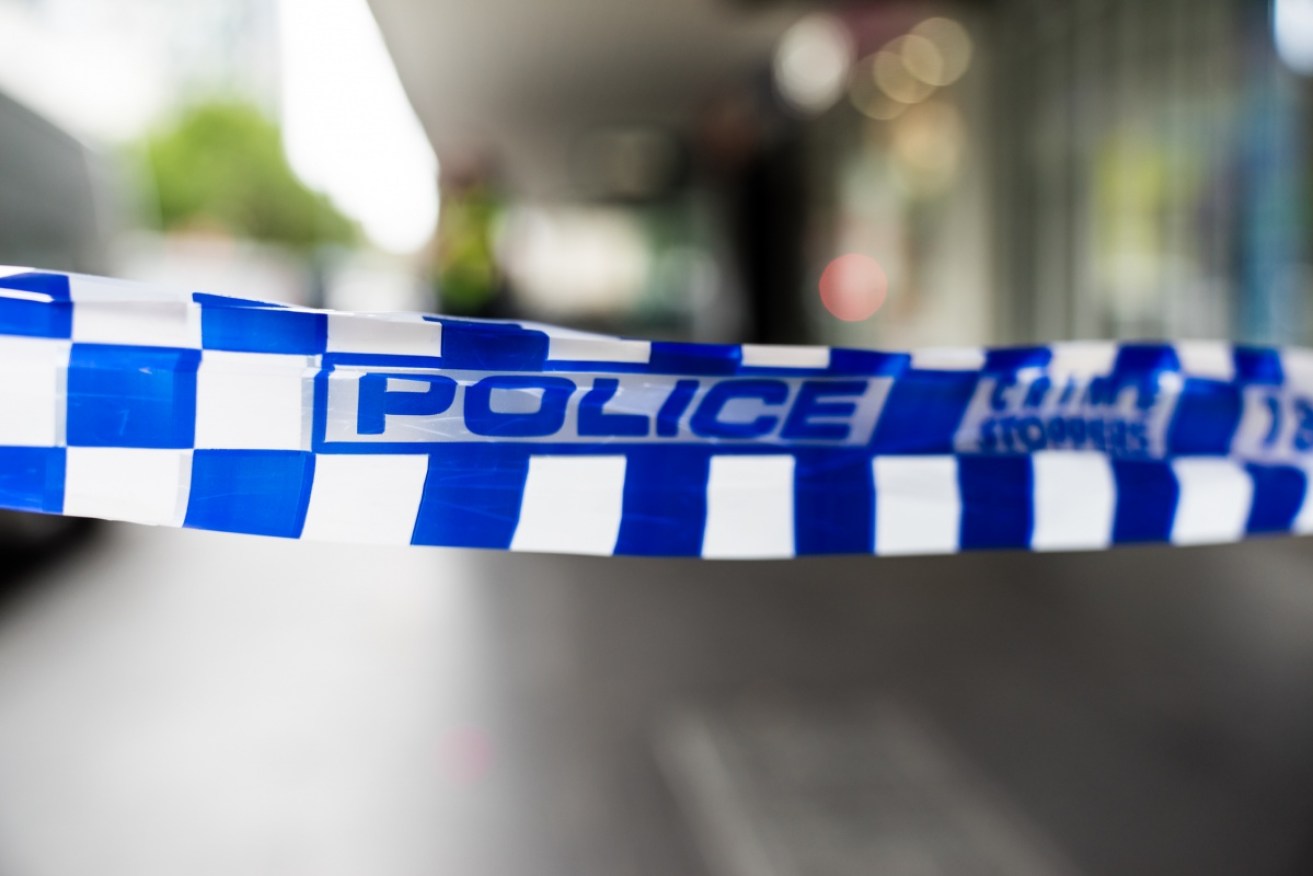 A woman has been stabbed to death during a domestic violence incident at a home in Sydney's southwest.