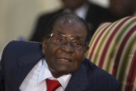 All smiles: Robert Mugabe greets military chief with handshake amid crisis