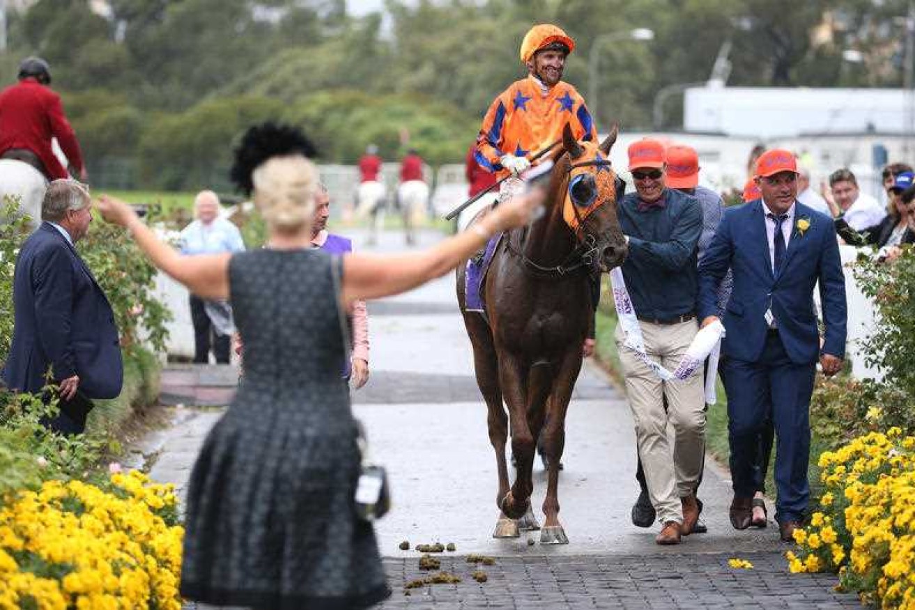 Gingernuts after winning the Rosehill Guineas in March.
