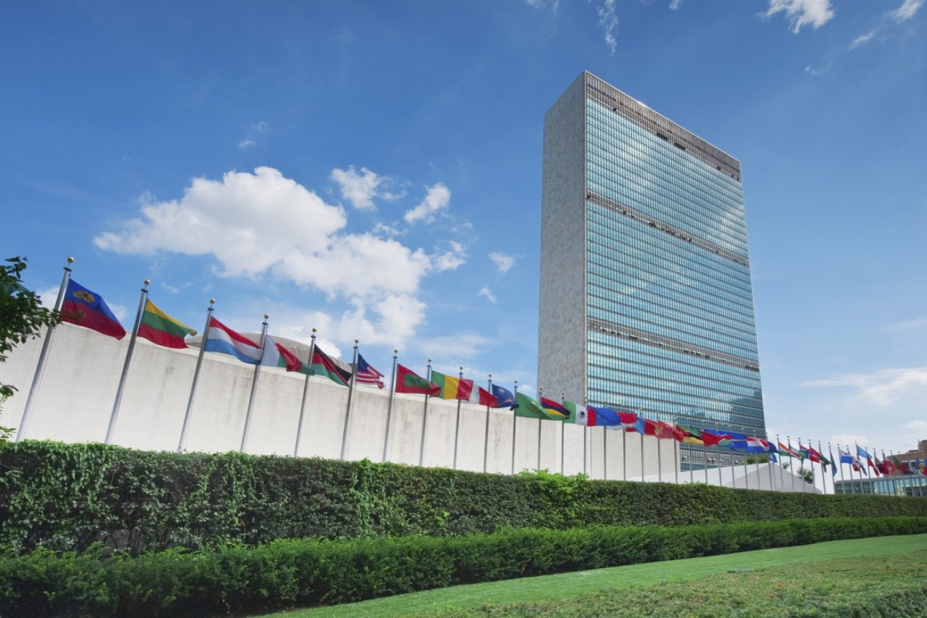 An Australian United Nations diplomat has died after falling from a New York building. Pictured: UN headquarters in New York.