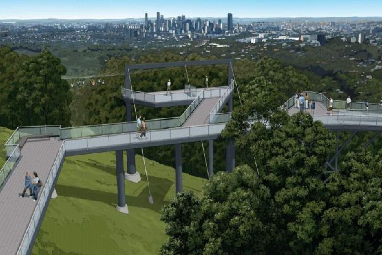 Zipline project approved for Brisbane's Mt Coot-tha.