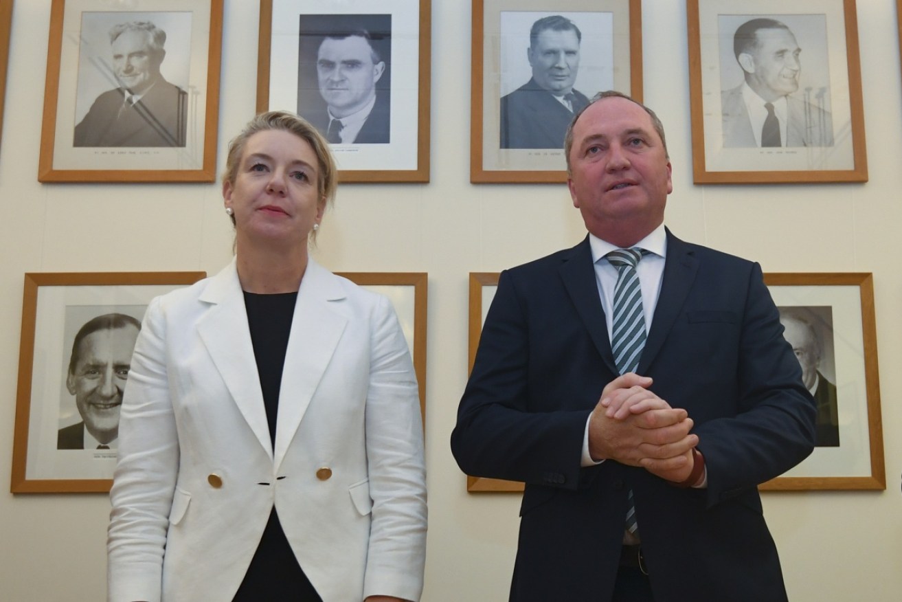 Not a contender Bridget McKenzie with for Deputy PM Barnaby Joyce. Photo: AAP
