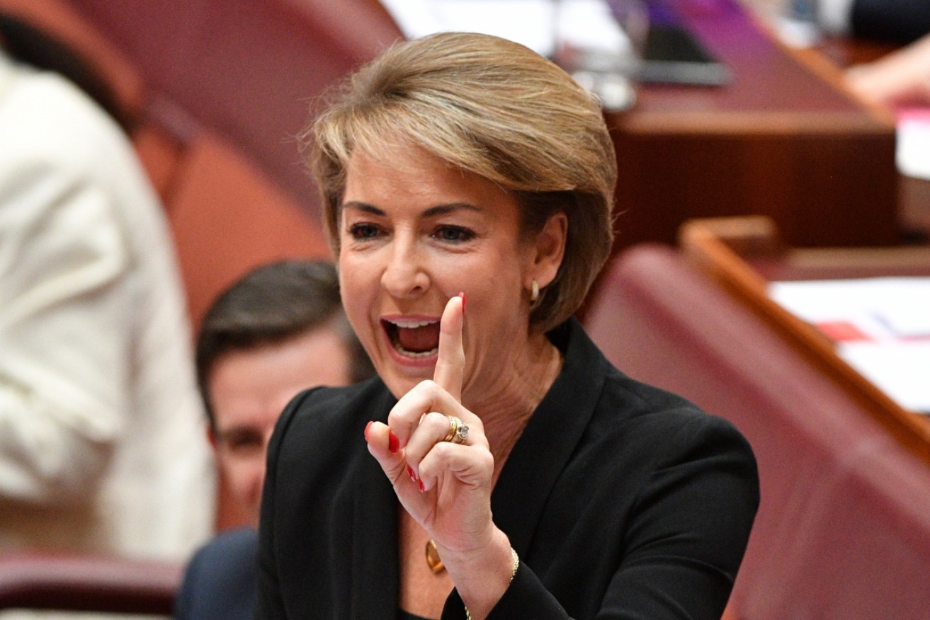 Jobs minister Michaelia Cash wants to 'keep Australia working', but at what hourly rate?