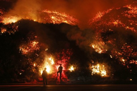 One dead, hundreds of homes destroyed as howling winds stoke California inferno