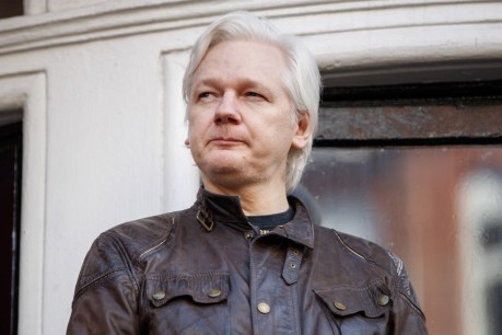Julian Assange and WikiLeaks face US election probes
