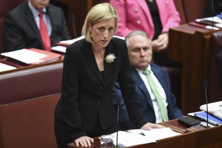 Labor&#8217;s Katy Gallagher asks High Court to assess eligibility