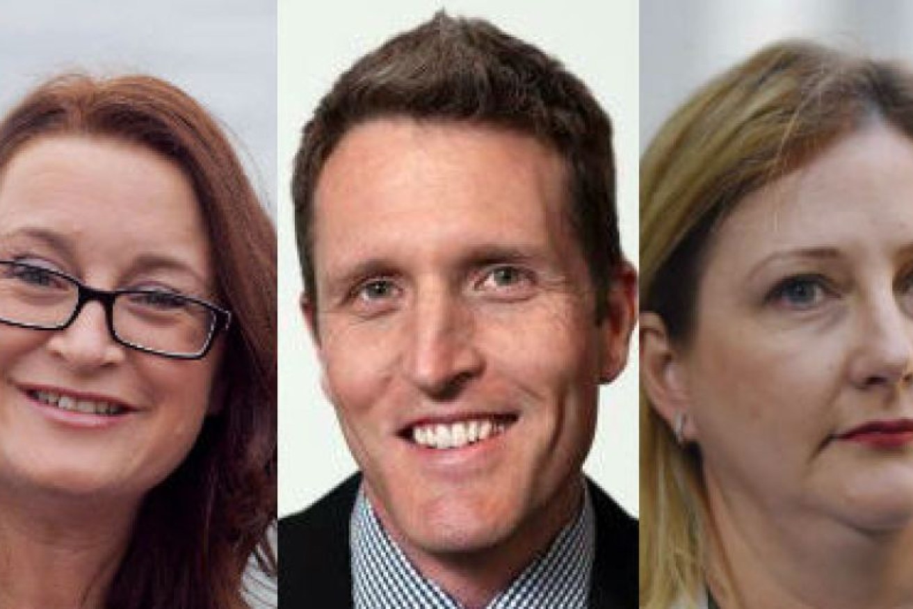 Labor MPs Justine Keay and Josh Wilson as well as Nick Xenophon Team MP Rebekha Sharkie are all in trouble.